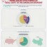 Surprising Facts about H1B Visas in the USA